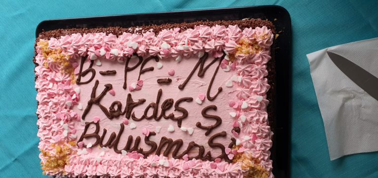 Mühlacker Kardeş Şube Buluşmasını Gercekleştirdi