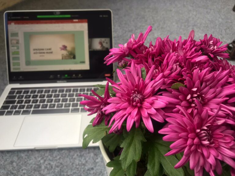 IGMG Württemberg Kadınlar Teşkilatı Aile Eğitim Semineri